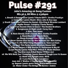 Pulse 291
